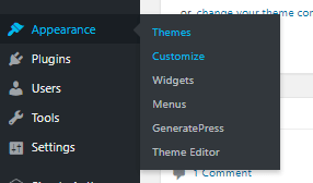 appearance customize wordpress
