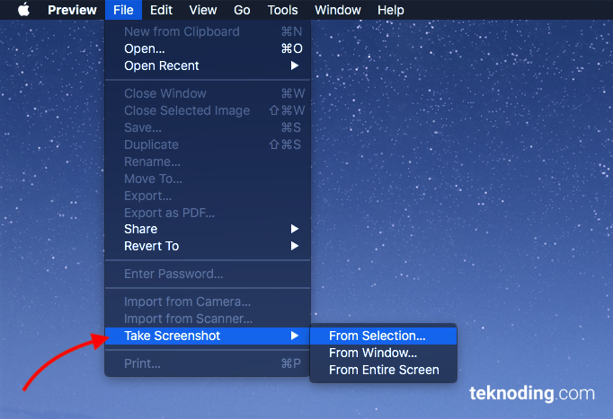 Preview > File > Take Screenshot mac os x